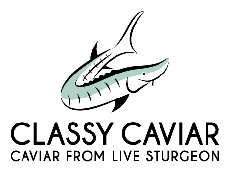 classycaviar.live